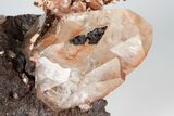 Calcite Crystal Cluster with Hematite Inclusions - Fluorescent! #185690-2